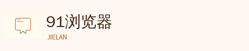 91网标志